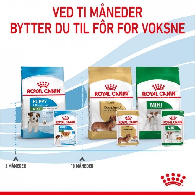 Royal Canin Mini Puppy våtfôr til valp 12x85g