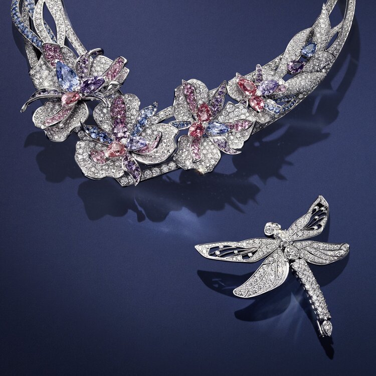 Dragonfly-themed brooch