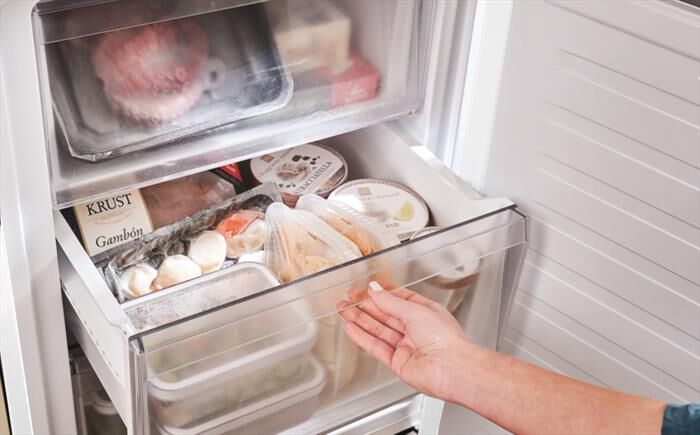 CANDY - Frigorifero combinato CNCQ2T618EW Classe E 355 lt-Bianco