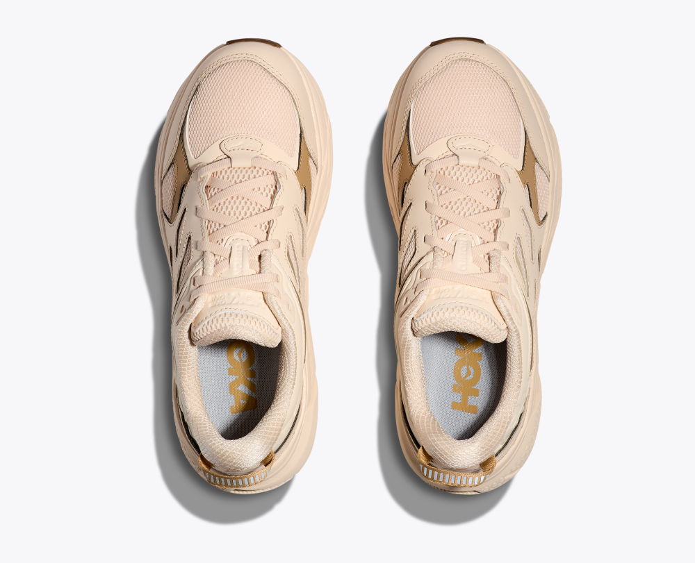 All Gender Clifton L