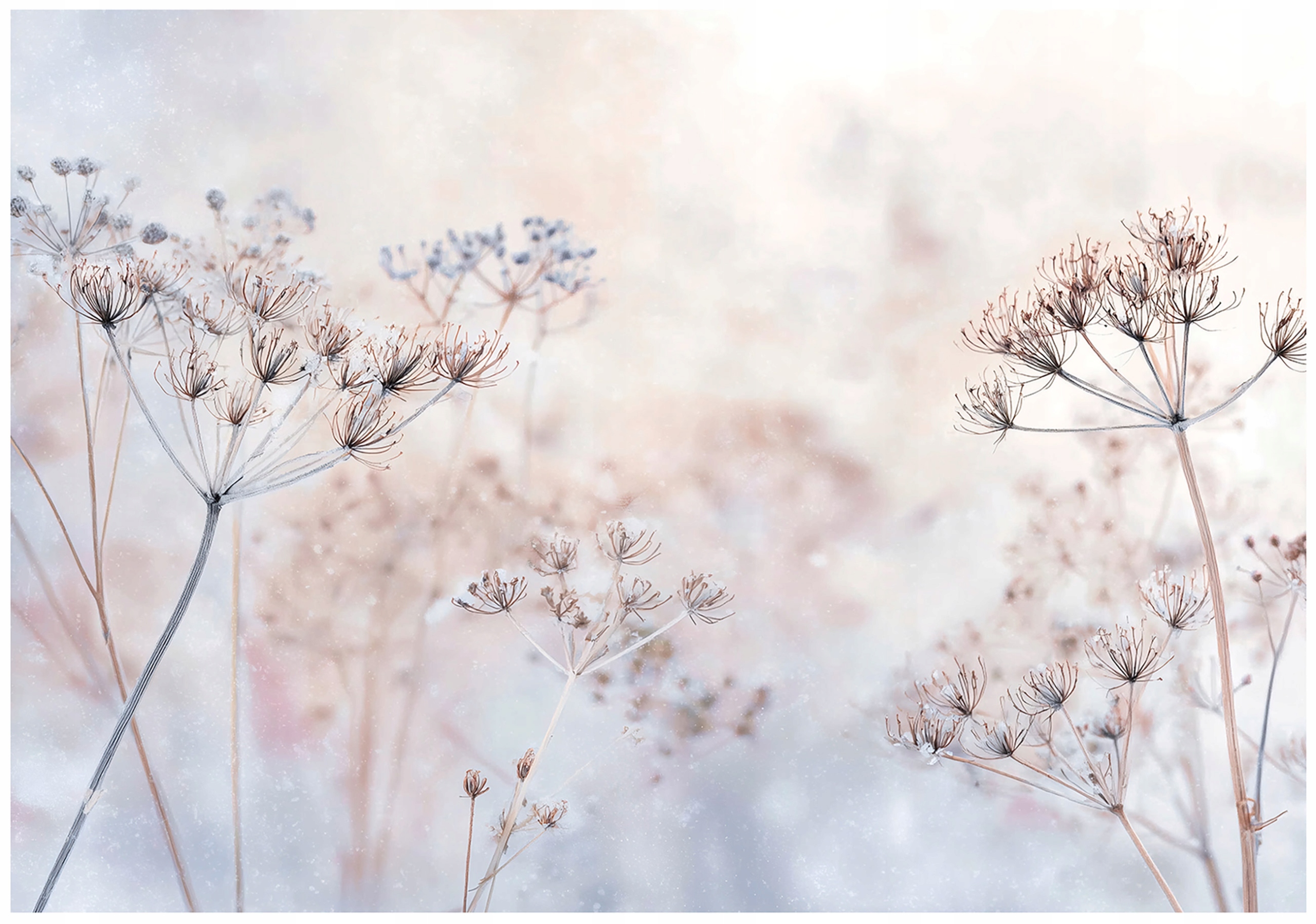 Boho nature flower wall mural for bedroom or living room, non-woven wallpaper,