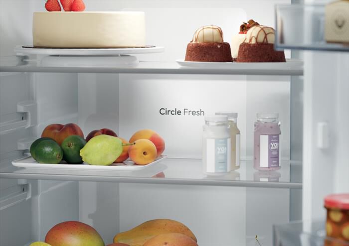 CANDY - Frigorifero combinato CNBQT3719EW Classe E 382 lt-Bianco