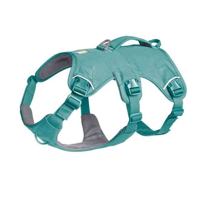 Ruffwear Web Master Hundesele Turkis