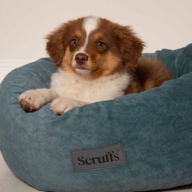 Scruffs Oslo Hundeseng, turkis