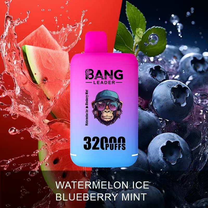 Bang Leader 32000 32k Puffs 2% 3% 5% Nicotine  Double Taste Disposable Vape