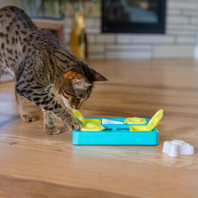 Nina Ottosson Catstages Kitty Cube Game Blå