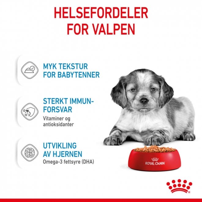 Royal Canin Medium Puppy Gravy våtfôr til valp 10x140g