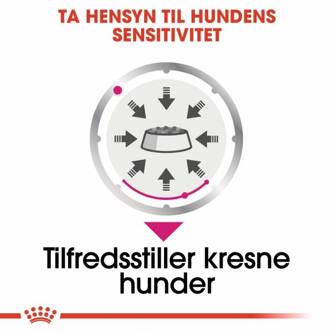 Royal Canin Exigent Adult våtfôr til hund 12x85 g