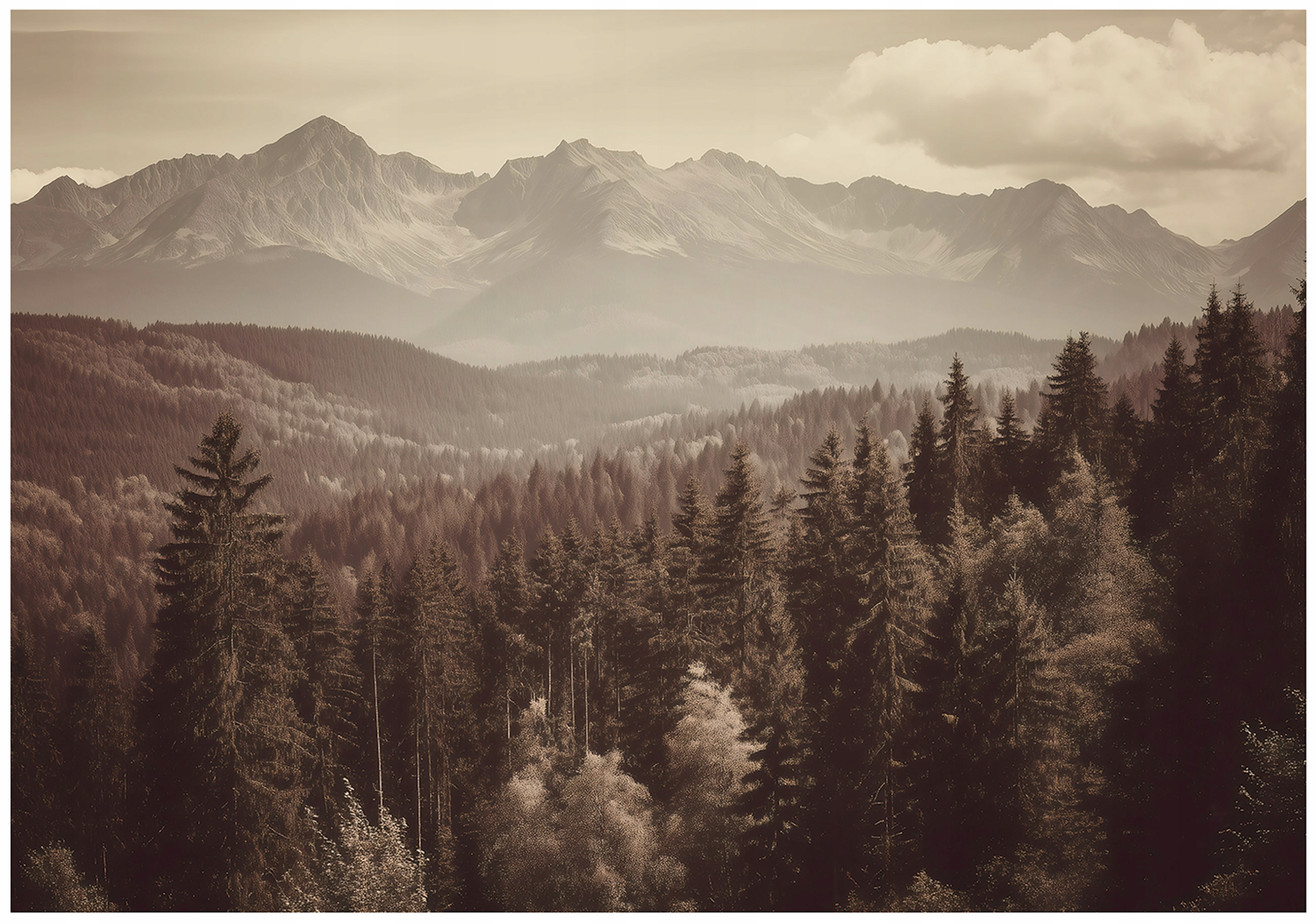 Wall mural forest mountains landscape bedroom living room wallpaper non-woven