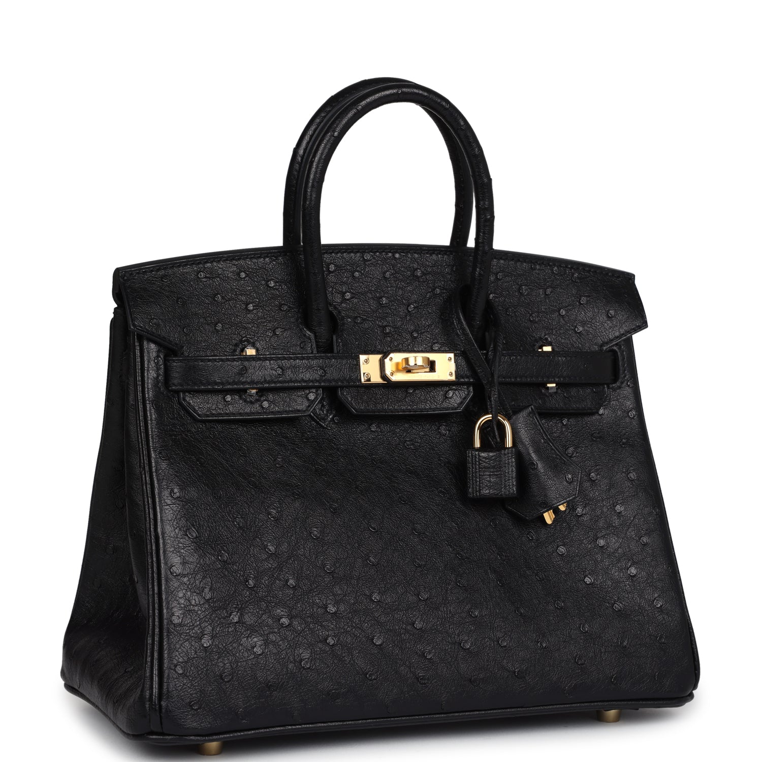Birkin 25 Black Ostrich Gold Hardware