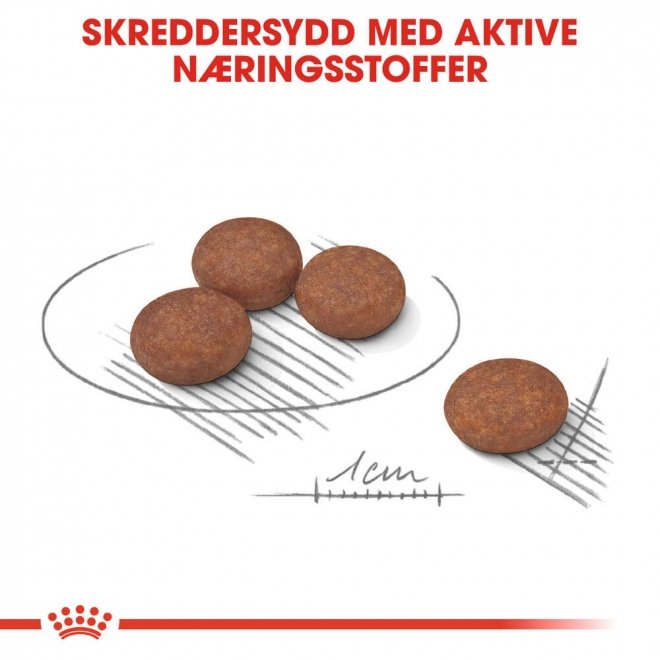 Royal Canin Digestive Care Mini Adult tørrfôr til hund