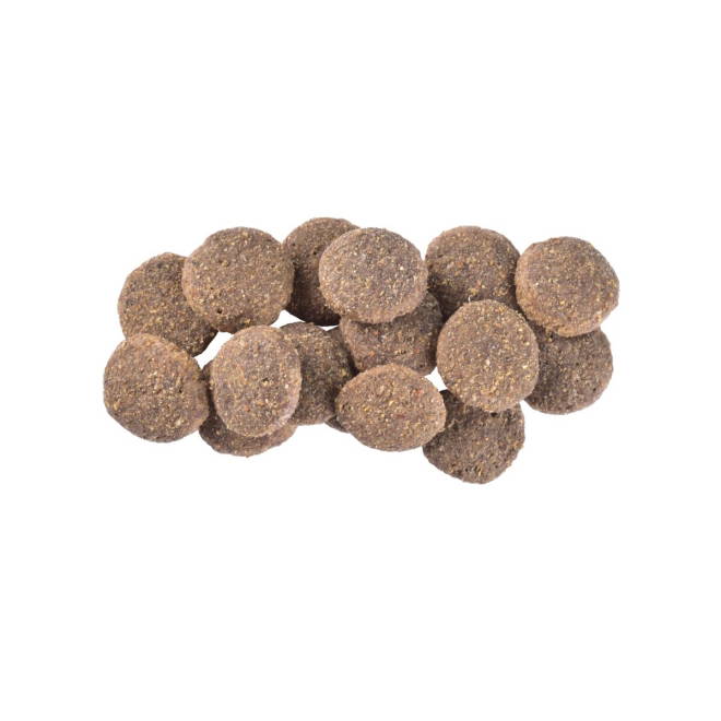 Brit Care Dog Sustainable Senior Chicken & Insect