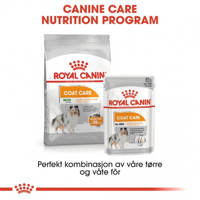 Royal Canin Coat Care Adult våtfôr til hund 12x85 g