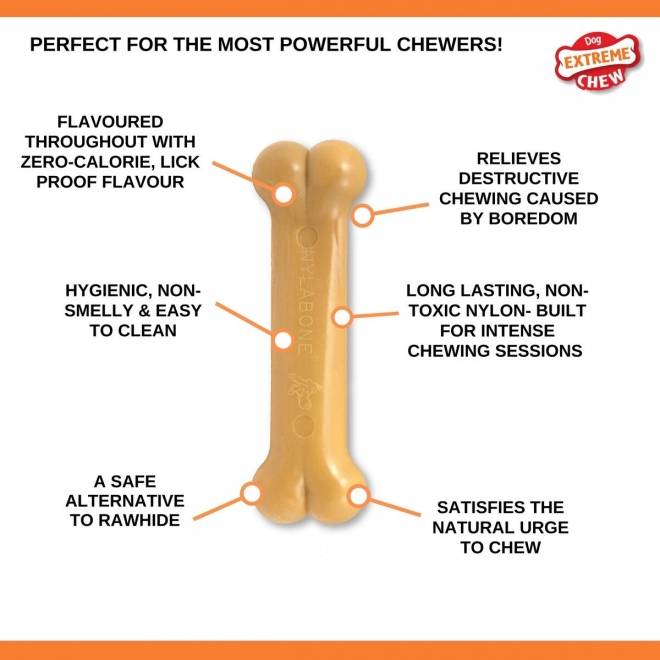 Nylabone Dura Chew Bacon, M