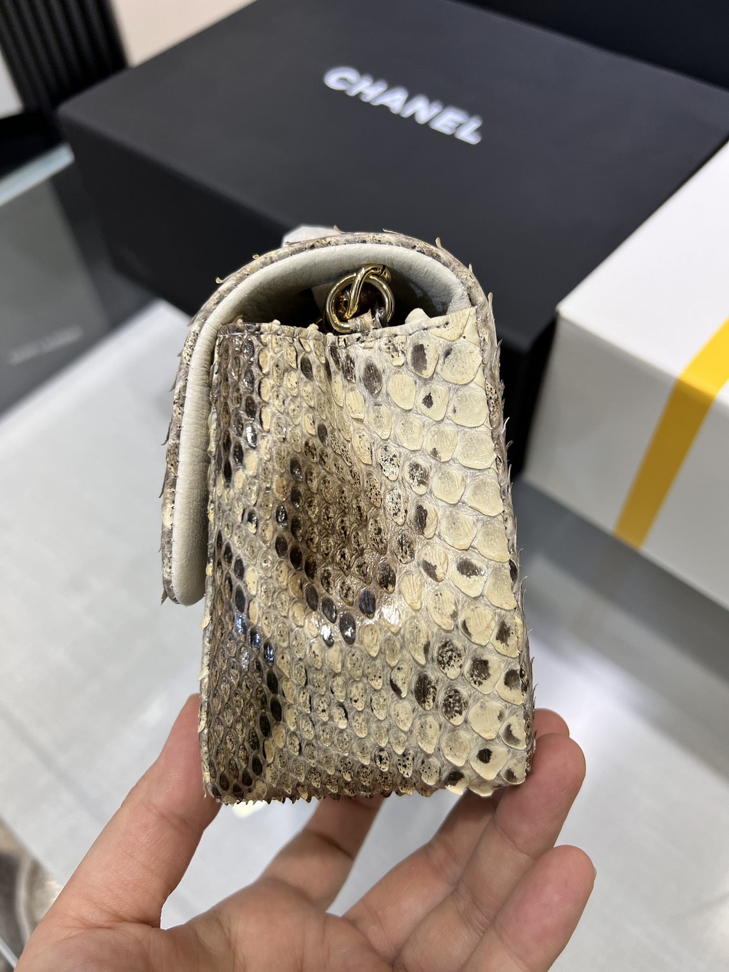 Classic Flap in Python（python skin） - Mocuir