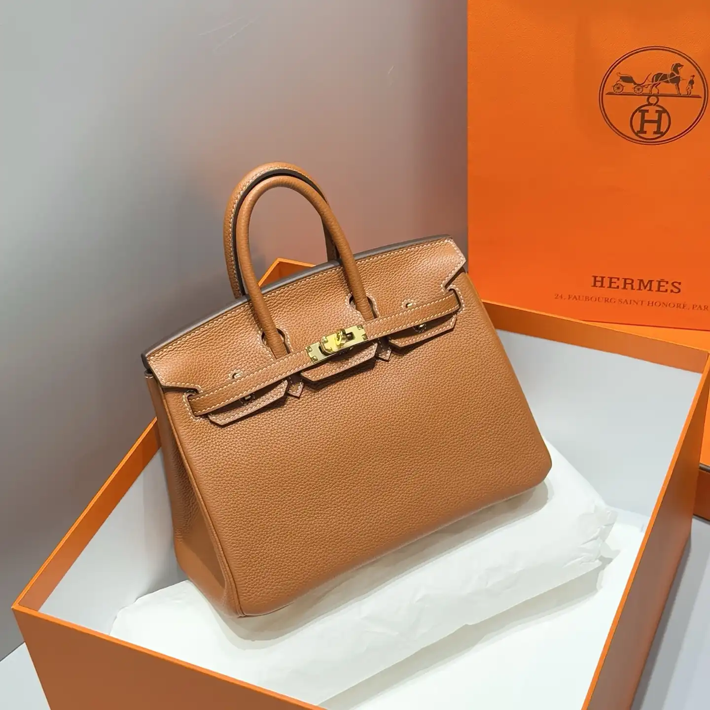 Togo Birkin 25
