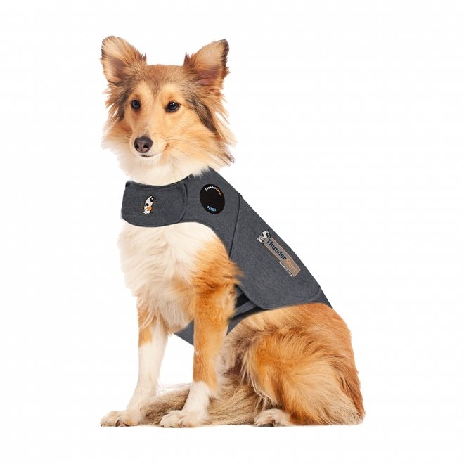 Thundershirt til Hund
