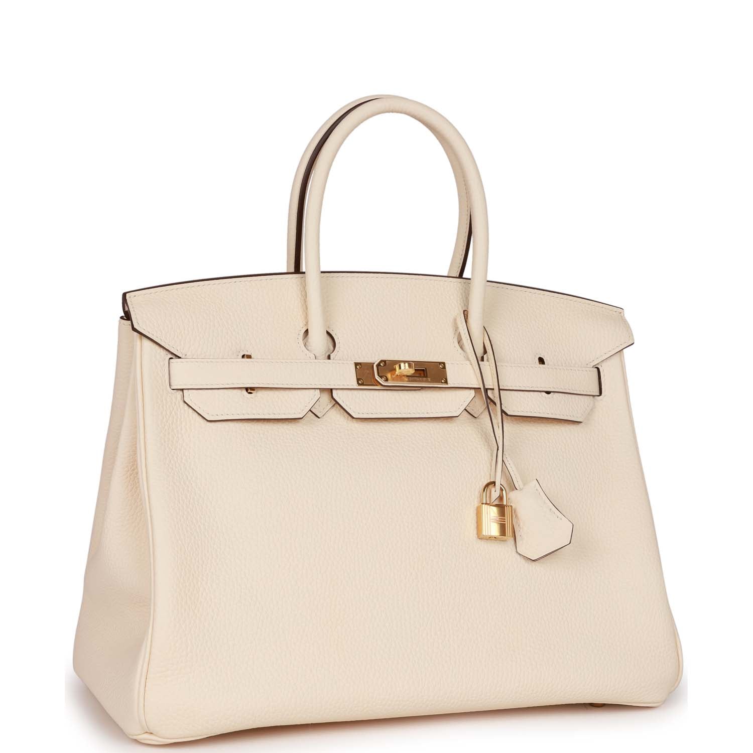 Birkin 35 Nata Clemence Gold Hardware