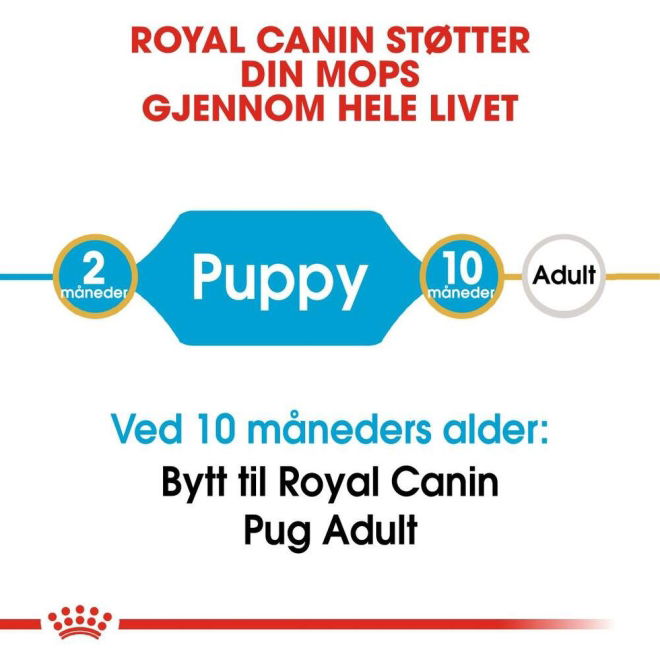 Royal Canin Pug Puppy tørrfôr til hundvalp