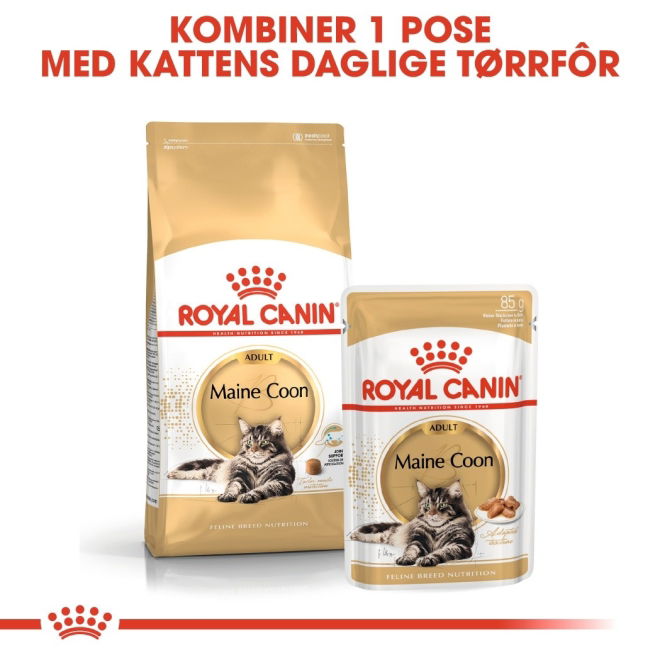 Royal Canin Maine Coon Adult Gravy våtfôr til katt 12x85g