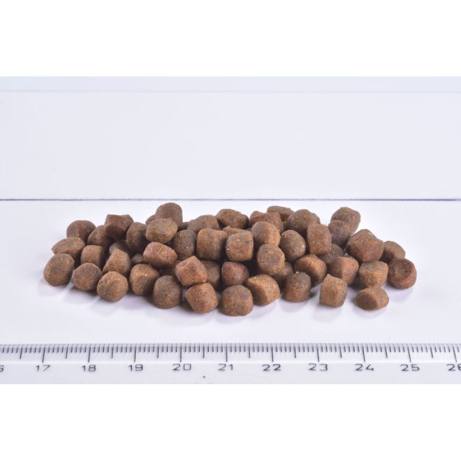 Brit Care Cat Grain Free Kitten Gentle Digestion & Strong Immunity Fresh Salmon