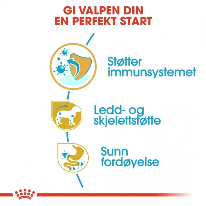 Royal Canin Dachshund Puppy tørrfôr til valp 1,5kg