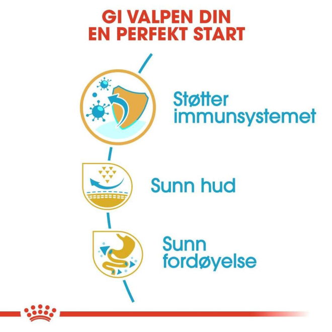 Royal Canin Pug Puppy tørrfôr til hundvalp