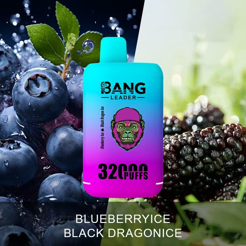 Bang Leader 32000 32k Puffs 2% 3% 5% Nicotine  Double Taste Disposable Vape
