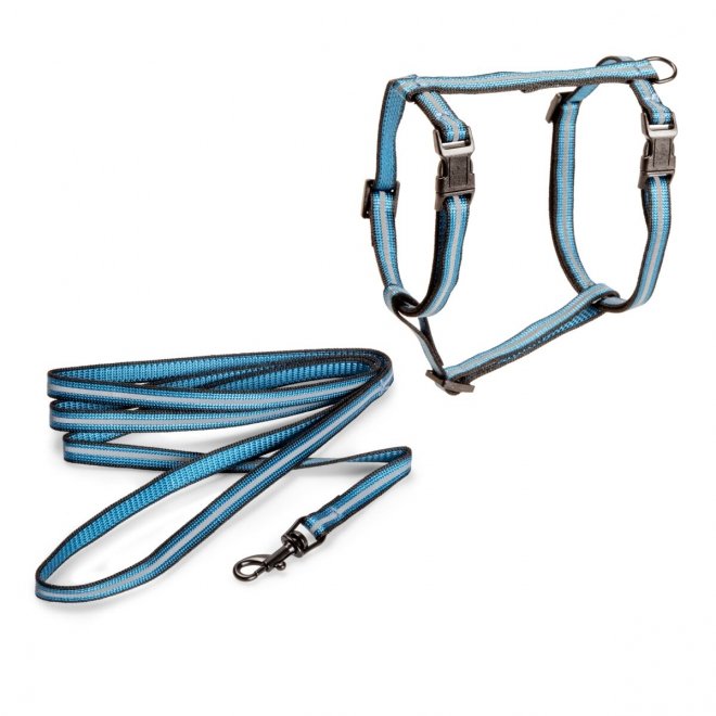 Basic Cat Reflective Kattesele + Kobbel
