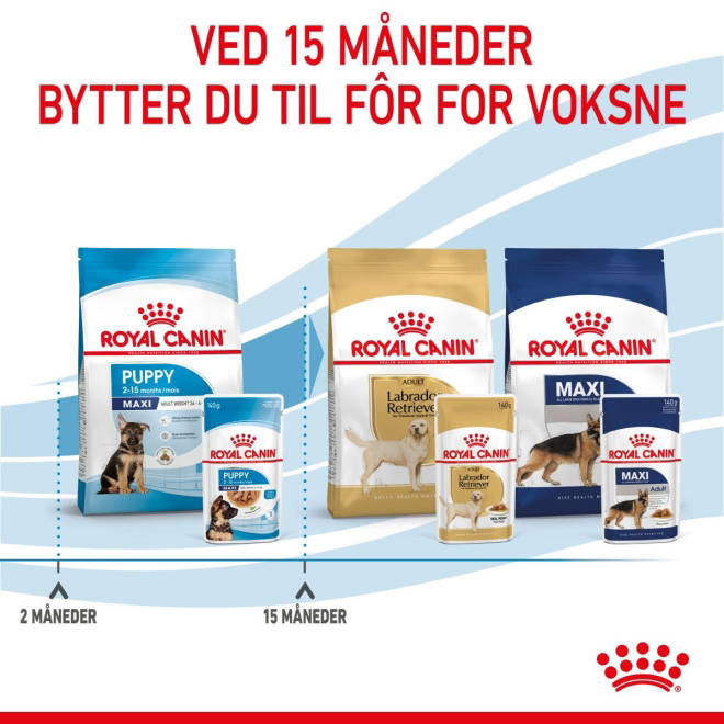 Royal Canin Maxi Puppy Gravy våtfôr til valp 10x140g