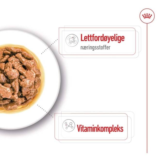 Royal Canin Mini Adult Gravy våtfôr til hund 12x85g