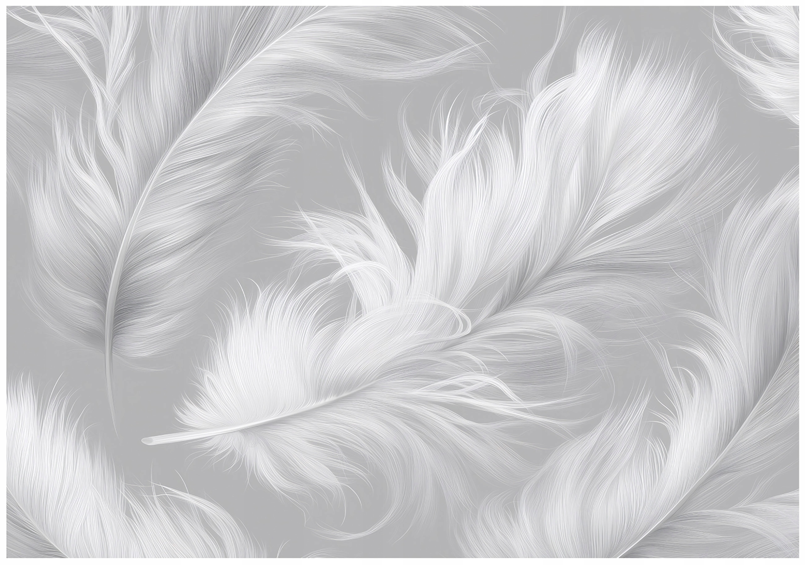 Abstract feather wall mural, concrete, bedroom, living room, non-woven wallpaper,