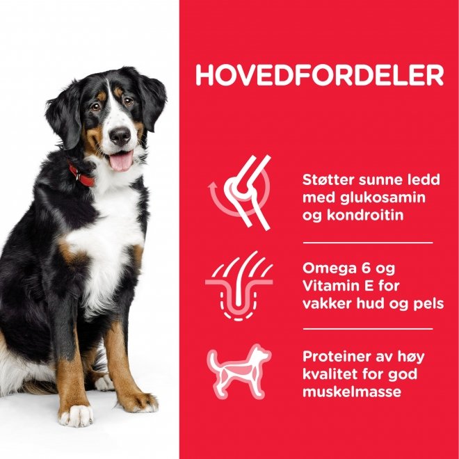 Hill's Science Plan Dog Adult Large Breed Chicken