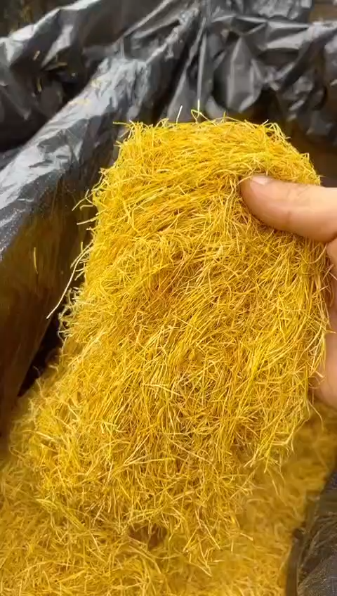 Loose Tobacco 500g/1000g