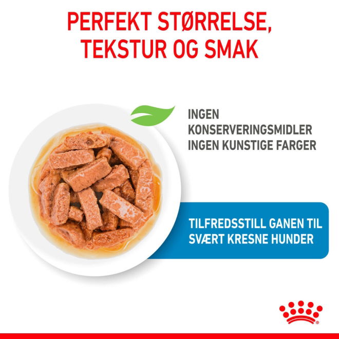 Royal Canin Maxi Puppy Gravy våtfôr til valp 10x140g