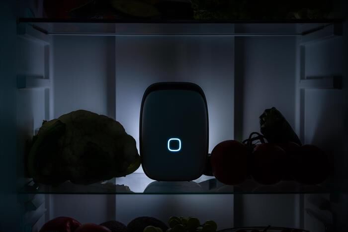 VITESY - Dispositivo smart per frigorifero SHELFY