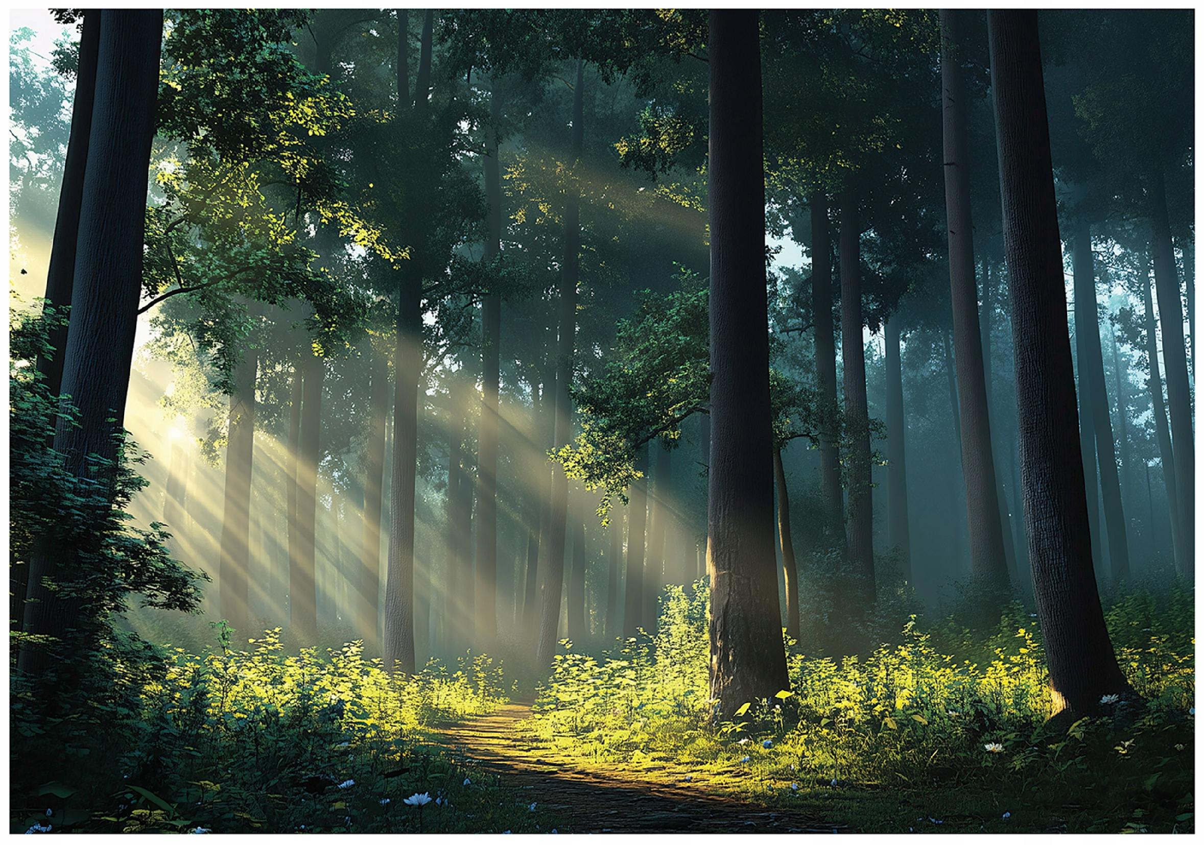 Wall mural forest Sun trees 3D nature for bedroom living room wall