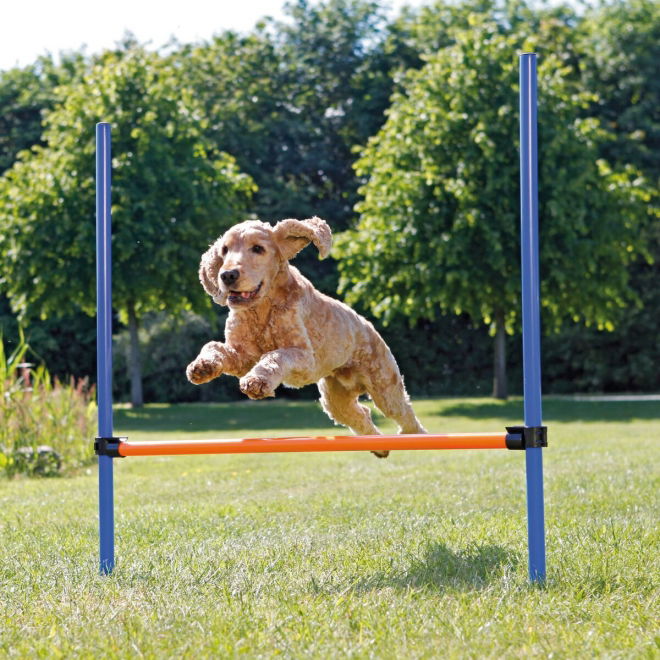 Trixie Agility Hopphinder 123x115cm