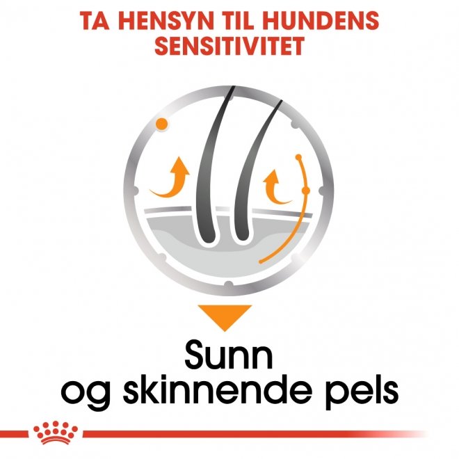 Royal Canin Coat Care Adult våtfôr til hund 12x85 g