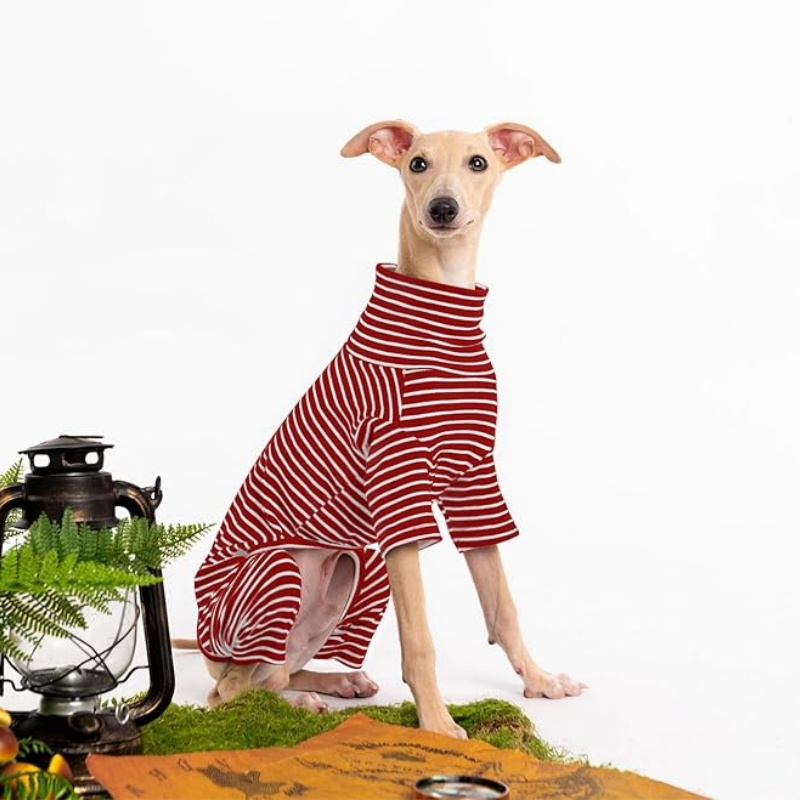 FURATTIRE Dog Sweaters for Small Dogs Girls Boys