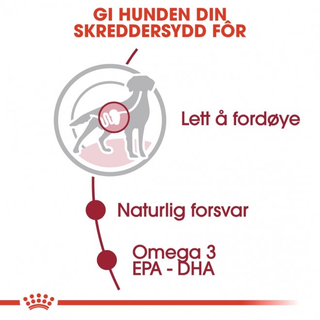 Royal Canin Medium Adult Gravy våtfôr til hund 10x140 g