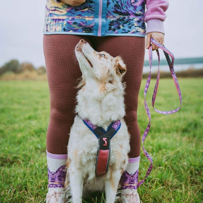 Non-stop Dogwear Trail Quest Rachel Pohl Kobbel 15 mm x 2 m Rosa/Lilla