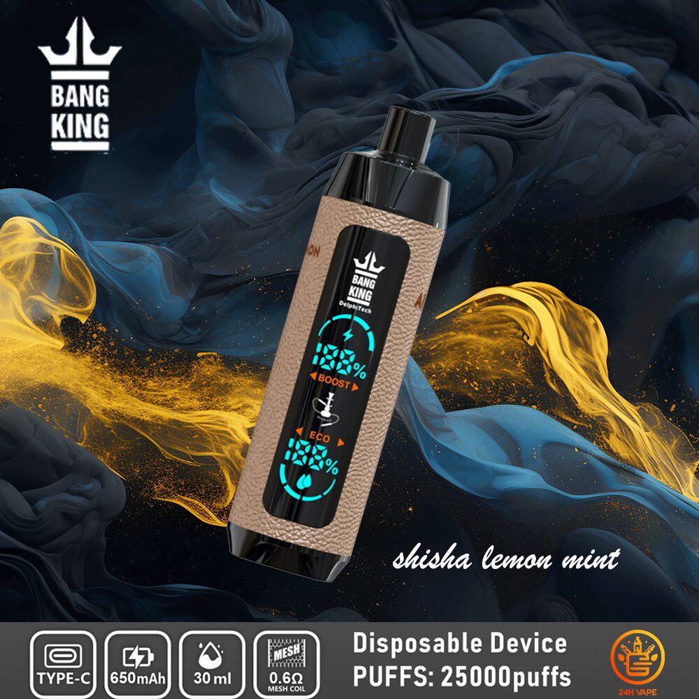 （3 pieces）Bang King Shisha 25000 25K Puffs Newest LED Display Leather Disposable Vape Pen