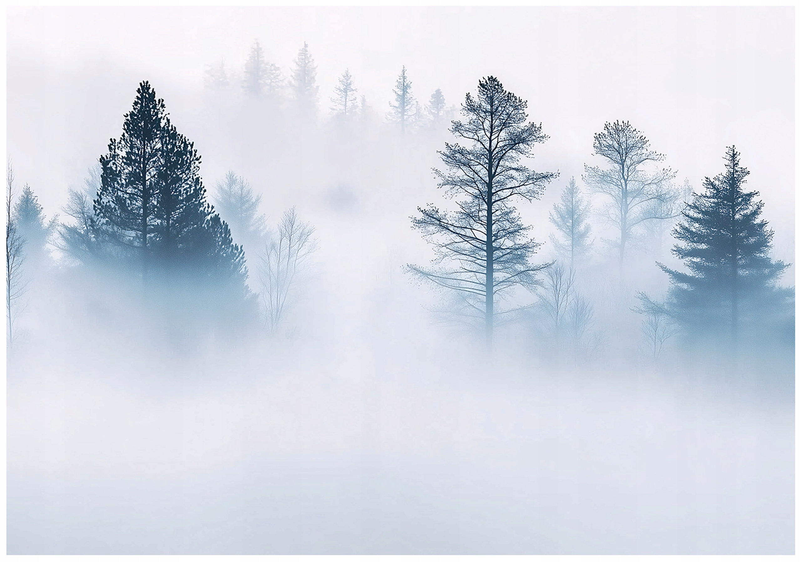 Wall mural forest in fog tree bedroom living room wallpaper non-woven