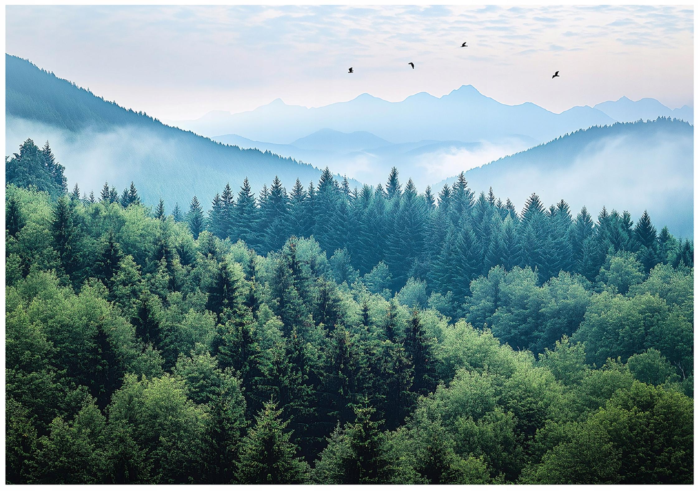 3D wall mural mountains forest fog nature bedroom living room wallpaper non-woven