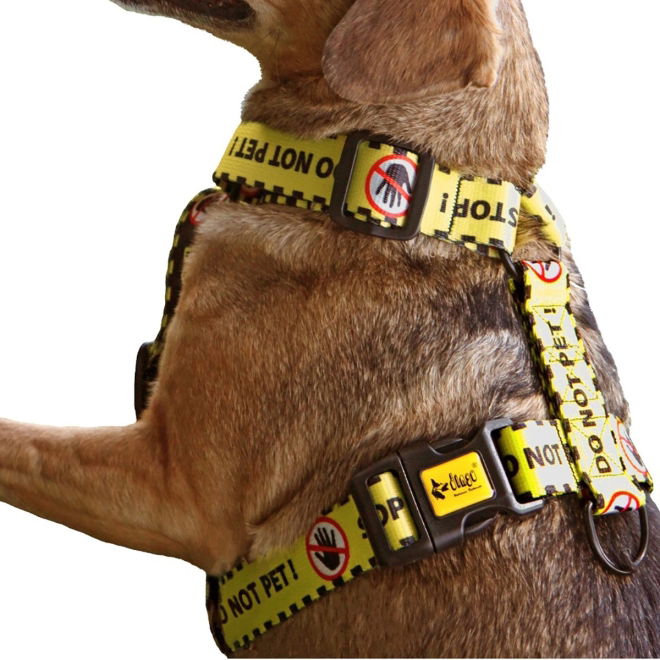 Dingo Gear Do Not Pet Hundesele