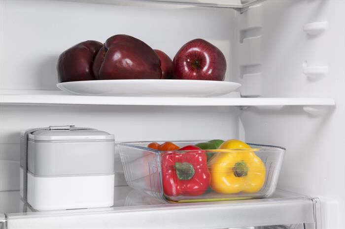 INDESIT - Frigorifero 2 porte T16A1DI2 Classe E 239 lt-Acciaio inossidabile