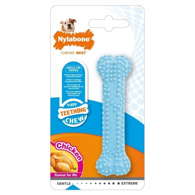 Nylabone Puppy Teething DentalChew Blue