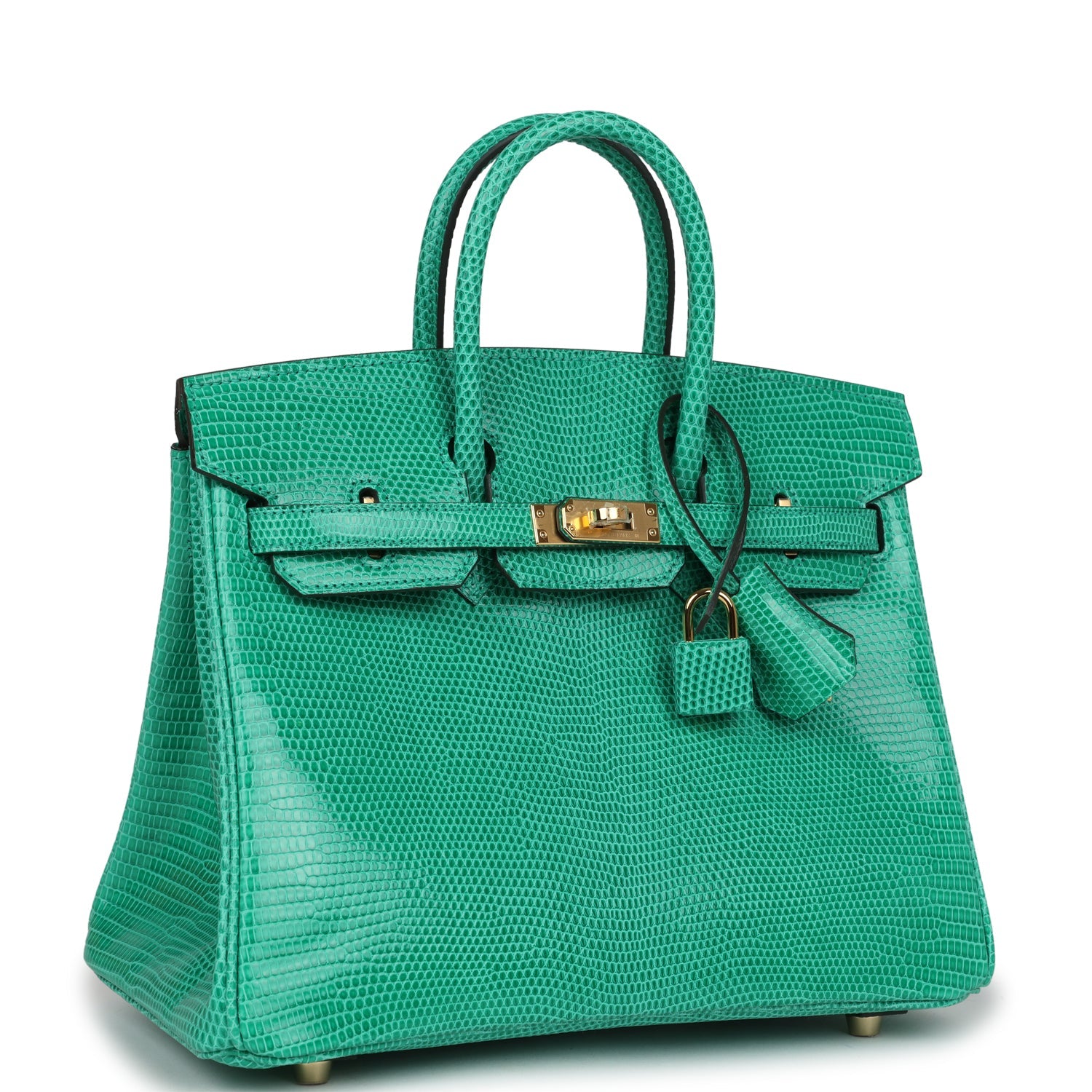 Birkin 25 Menthe Varanus Niloticus Lizard Gold Hardware