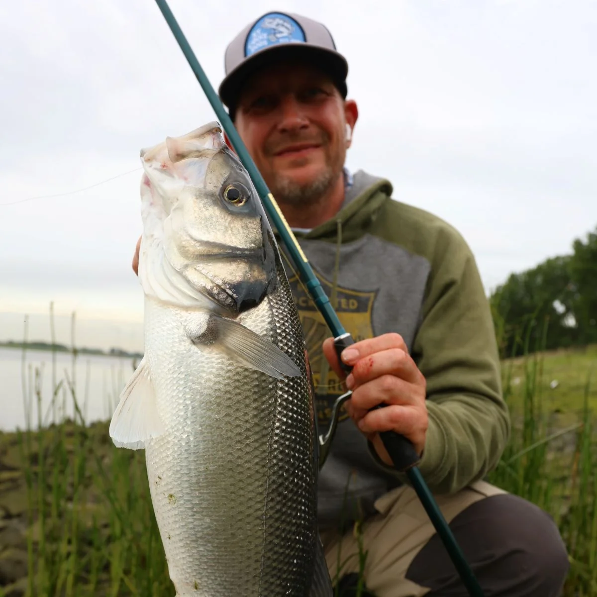 RAYFIN SPINNING